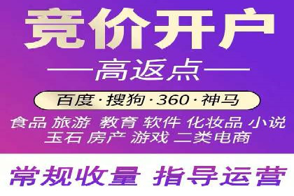 行业领先企业的SEM运营策略案例解析
